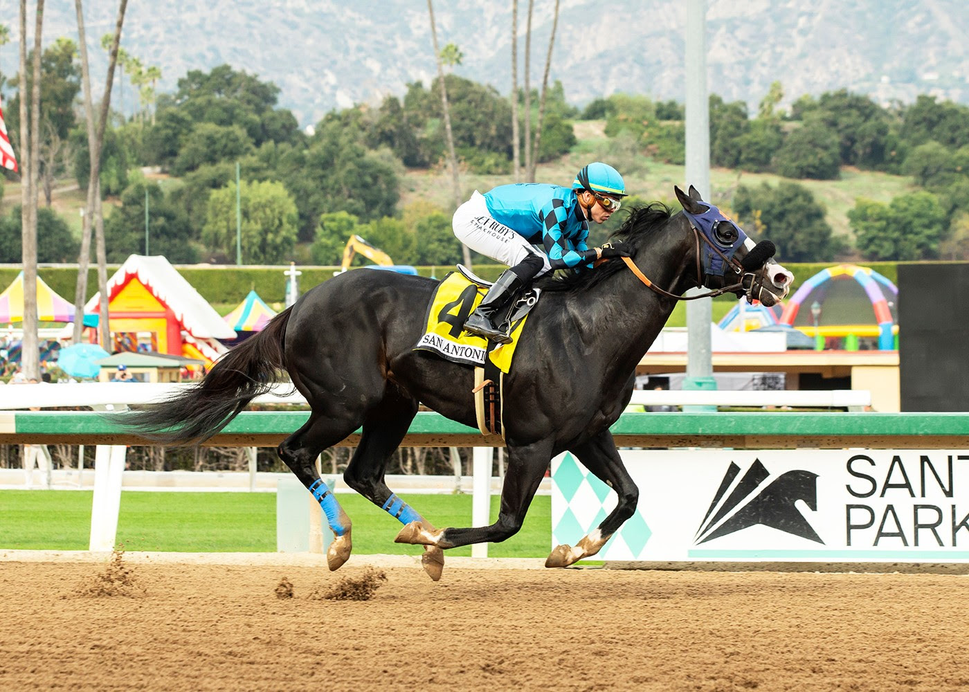 Newgrange, Horses, Violence, San Antonio Stakes, martes, 26 de diciembre de 2023, Santa Anita Park. Foto: Benoit Photo
