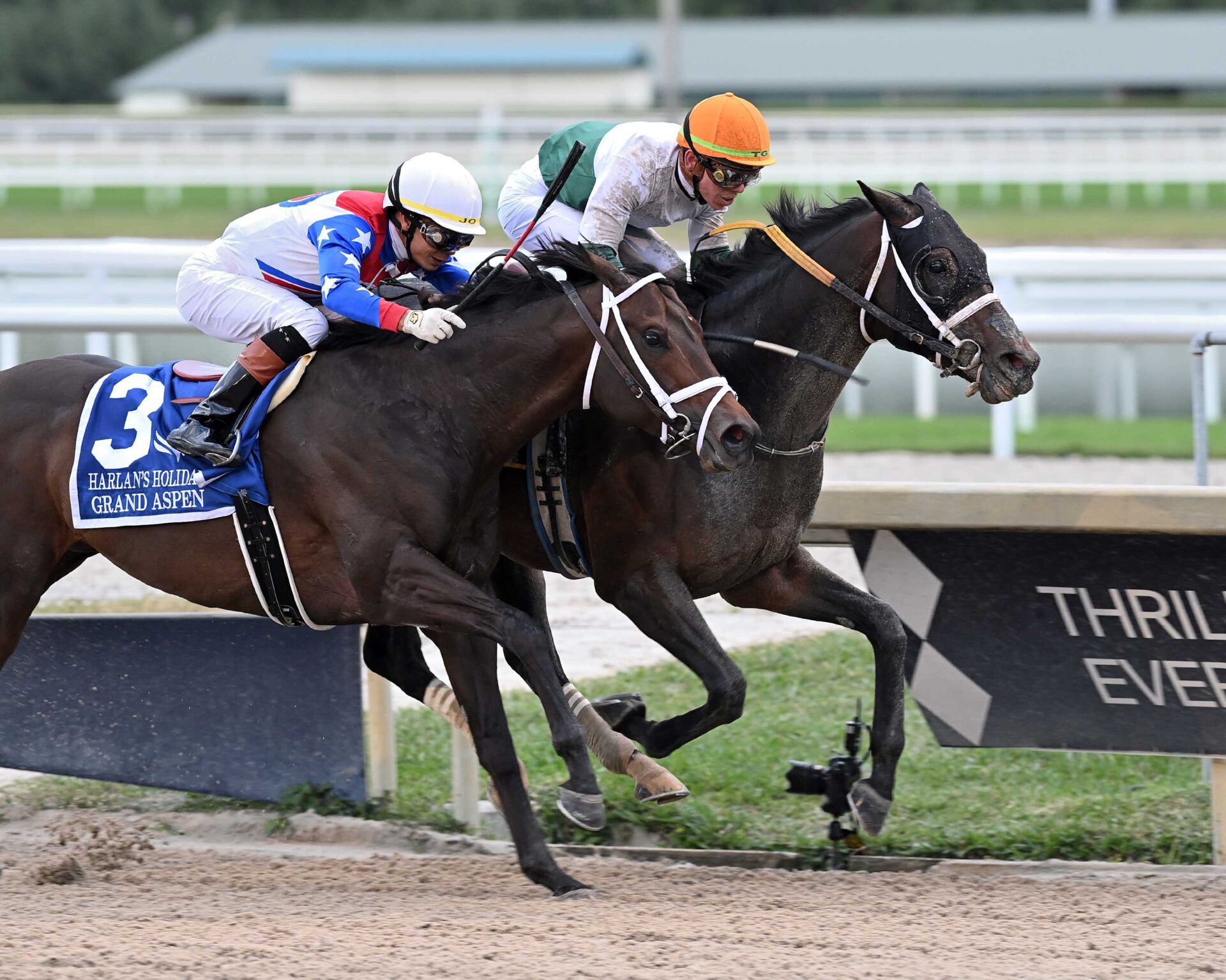 O´Connor, horse, Boboman, Harlan´s Holiday Stakes, sábado, 30 de diciembre de 2023, Gulsftream Park. Foto: Coglianese Photo