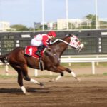 Paid Twice, horse, Tapiture, Copa Invitacional del Caribe, sábado, 10 de diciembre de 2023, Presidente Remón. Foto: Erick M.