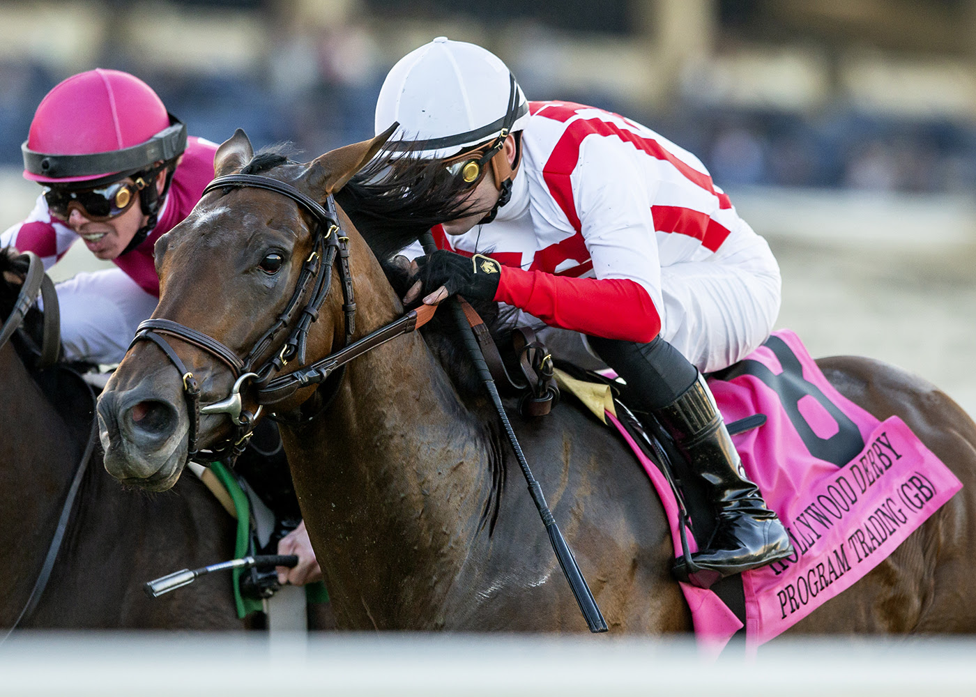 Program Trading, horse, Lope De Vega, Hollywood Turf Cup Stakes, sábado, 2 de diciembre de 2023, Del Mar. Foto: Benoit Photo
