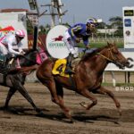 Royal Spirit, horse, Haras Cerro Punta, Copa Velocidad del Caribe, sábado, 10 de diciembre de 2023, Presidente Remón. Foto: Juan Carlos Velásquez