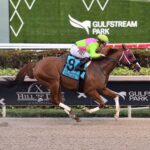 Sibelius, horse, Not This Time, Mr. Prospector Stakes, sábado, 23 de diciembre de 2023, Gulsftream Park. Foto: Coglianese Photo