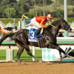 Speed Boat Beach, horse, Bayern, Malibú Stakes, martes, 26 de diciembre de 2023, Santa Anita Park. Foto: Benoit Photo
