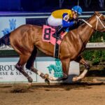 Track Phantom, horses, Breaze Easy, Gun Runner Stakes, sábado, 23 de diciembre de 2023, Fair Grounds. Foto: Hodges Photography