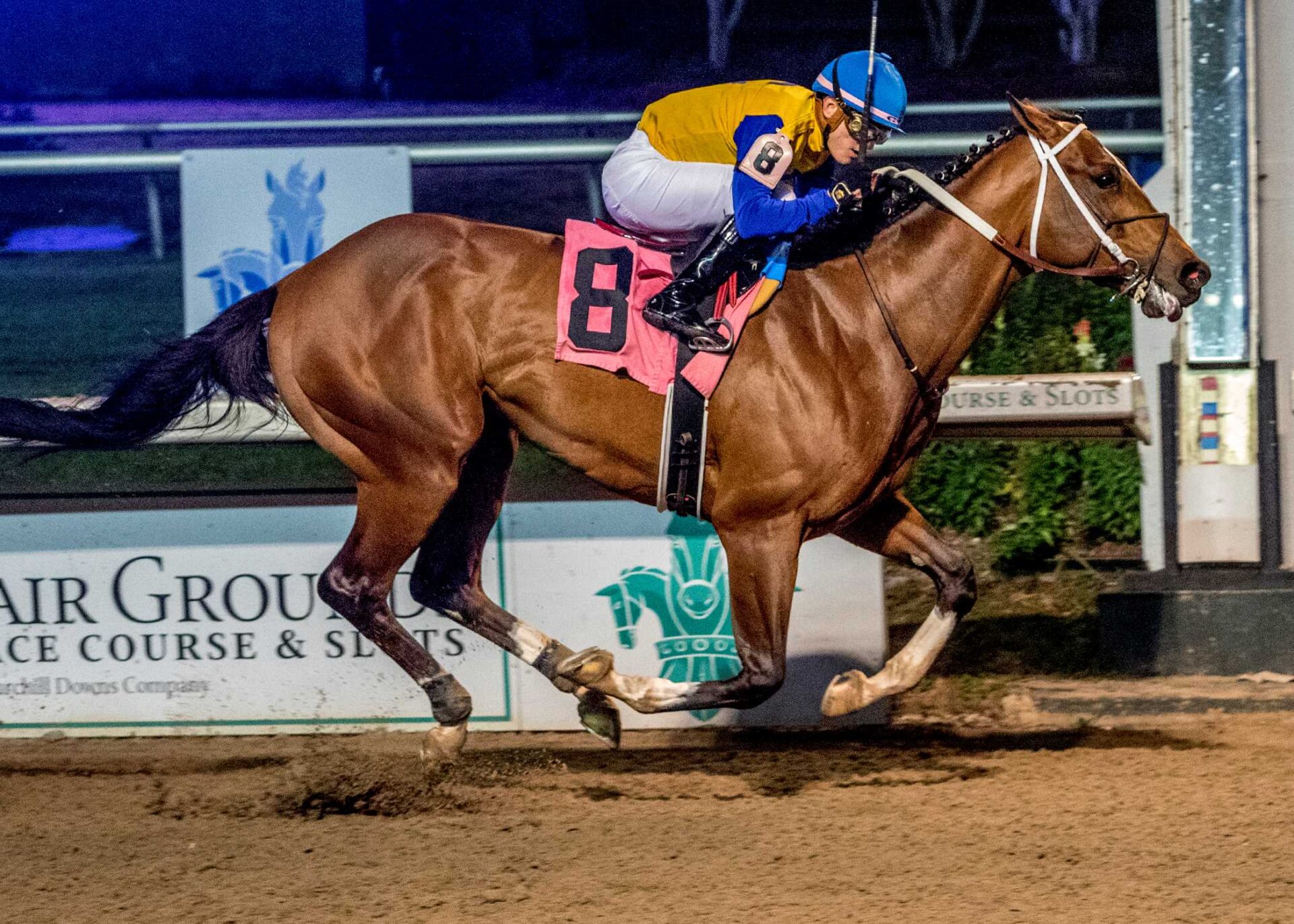 Track Phantom, horses, Breaze Easy, Gun Runner Stakes, sábado, 23 de diciembre de 2023, Fair Grounds. Foto: Hodges Photography