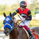 Watsonville, Horses, Jack Milton, Mathis Mile Stakes, martes, 26 de diciembre de 2023, Santa Anita Park. Foto: Benoit Photo