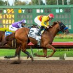 Wynstock, Horses, Empire Equines LLC, Los Alamitos Futurity, sábado, 16 de diciembre de 2023, Hipódromo Los Alamitos. Foto: Benoit Photo