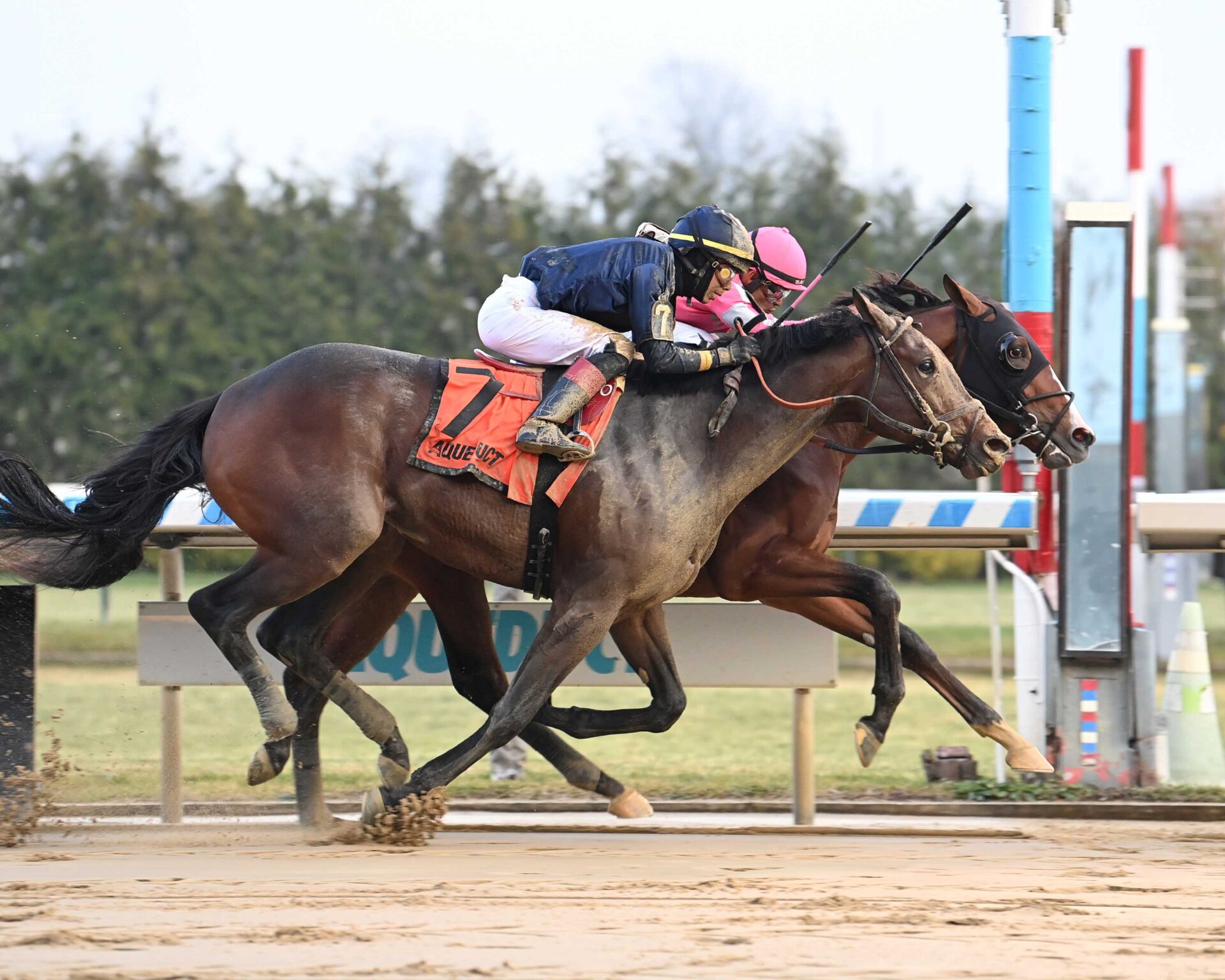 Dornoch, horse, Good Magic, Remsen Stakes, sábado, 3 de diciembre de 2022, Aqueduct. Foto: Coglaniese Photo & Susie Raisher