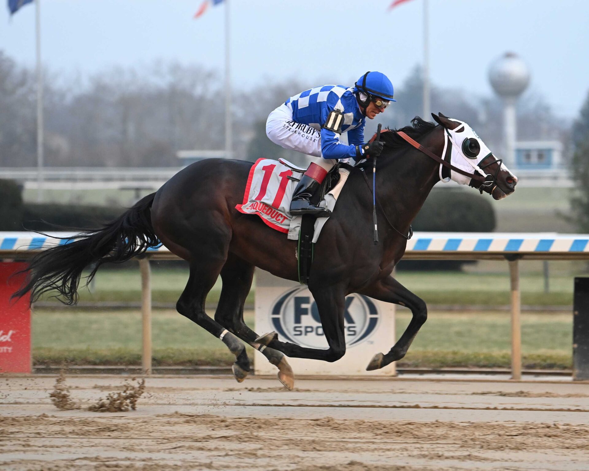 Hoist The Gold, horse, Mineshaft, Cigar Mile Stakes, sábado, 2 de diciembre de 2023, Aqueduct. Foto: Coglaniese Photo & Susie Raisher