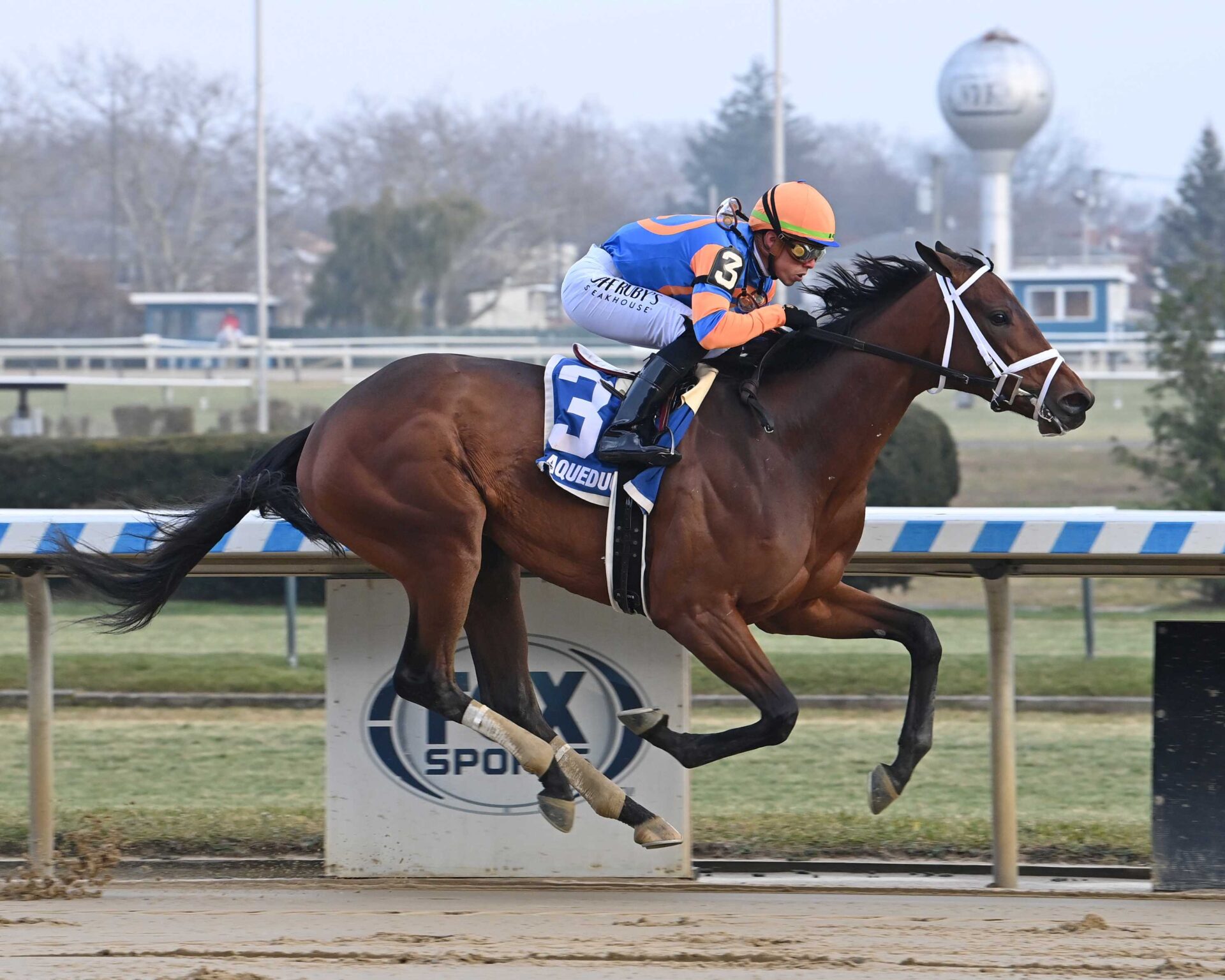 Like Talk, horse, Gun Runner, Demoiselle Stakes, sábado, 2 de diciembre de 2023, Aqueduct. Foto: Coglaniese Photo & Susie Raisher