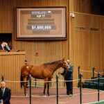 Prank, 77, Into Mischief en Callingmissbrown por Pulpit, sesión 1, Keeneland Sales, lunes, 6 de enero de 2024, Keeneland. Foto: Keeneland