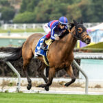 Angel Nadeshiko, Horses, Carpe Diem, Robert J. Frankel Stakes, sábado, 30 de diciembre de 2023, Santa Anita Park. Foto: Benoit Photo