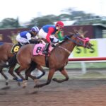 Cumbia Pa Ti, horse, Indiano, Clásico SOCRICA, sábado, 30 de diciembre de 2023, Presidente Remón. Foto: Erick Ruiz Prensa CODERE Panamá