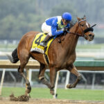 Desert Dawn, Horses, Cupid, La Cañada Stakes, sábado, 20 de enero de 2024, Santa Anita Park. Foto: Benoit Photo