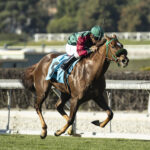 Grand Slam Smile, horse, Smiling Tiger, Leigh Ann Howard California Cup Oaks Stakes, sábado, 13 de enero de 2024, Santa Anita Park. Foto: Benoit Photo