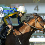 Irideo, Horses, Pozo de Luna, Clocker´s Corner Stakes, domingo, 28 de enero de 2024, Santa Anita Park. Foto: Benoit Photo