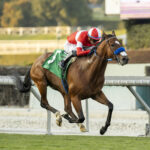 Kings River Knigh, horse, Acclamation, Unusual Heart Turf Classic Stakes, sábado, 13 de enero de 2024, Santa Anita Park. Foto: Benoit Photo