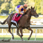 Kopion, Horses, Omaha Beach, Santa Ynez Stakes, domingo, 7 de enero de 2024, Santa Anita Park. Foto: Benoit Photo