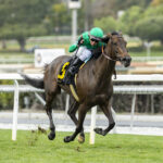 Linda´s Gift, Horses, Arrogate, Astra Stakes, domingo, 21 de enero de 2024, Santa Anita Park. Foto: Benoit Photo