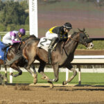Mici´s Express, horse, Slew´s Tiznow, California Chrome Cal Cup Derby Stakes, sábado, 13 de enero de 2024, Santa Anita Park. Foto: Benoit Photo