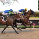 National Treasure, horse, Quality Road, Pegasus World Cup, sábado, 27 de enero de 2024, Gulfstream Park. Foto: Coglaniese Photo