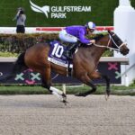 Olivia Darling, horse, Palace, Inside Information Stakes, sábado, 27 de enero de 2024, Gulsftream Park. Foto: Coglianese Photo