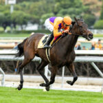 Ruby Nell, Horses, Bolt D´Oro, Lady Of Shamrock Stakes Stakes, domingo, 31 de diciembre de 2023, Santa Anita Park. Foto: Benoit Photo