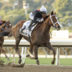 The Chosen Vron, horse, Vronsky, Don Valpredo California Cup Sprint Stakes, sábado, 13 de enero de 2024, Santa Anita Park. Foto: Benoit Photo