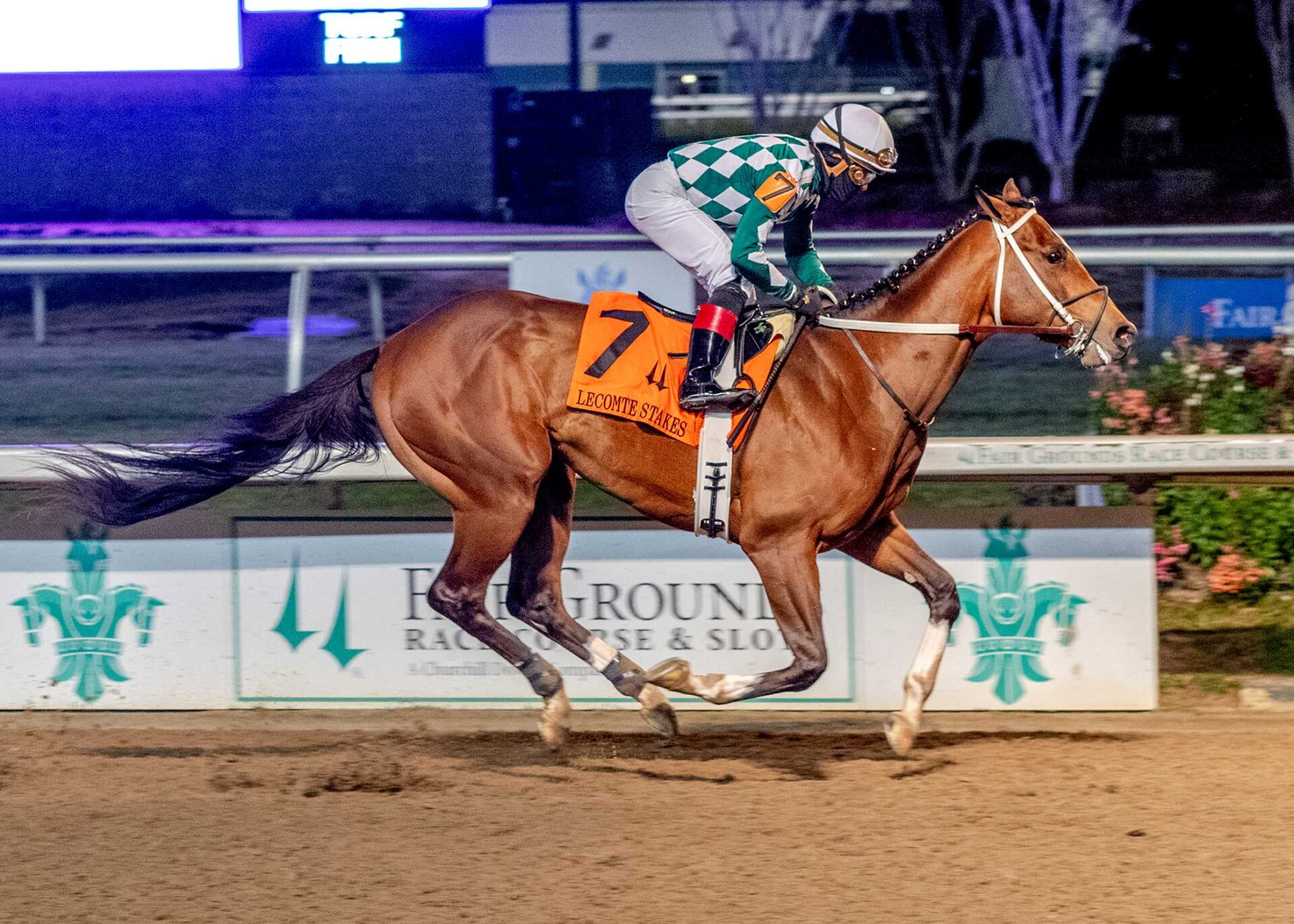 Track Phantom, horse, Breaze Easy, Lecomte Stakes, sábado, 20 de enero de 2024, Fair Grounds. Foto: Hodges Photography