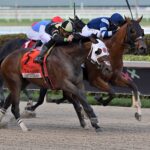 Tumbarumba, horse, Coteau Grove Farms, Free W. Hopper Stakes, sábado, 27 de enero de 2024, Gulsftream Park. Foto: Coglianese Photo