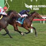 Warm Heart, horse, Coolmore, Pegasus World Cup Turf Invitational, sábado, 27 de enero de 2024, Gulfstream Park. Foto: Coglaniese Photo