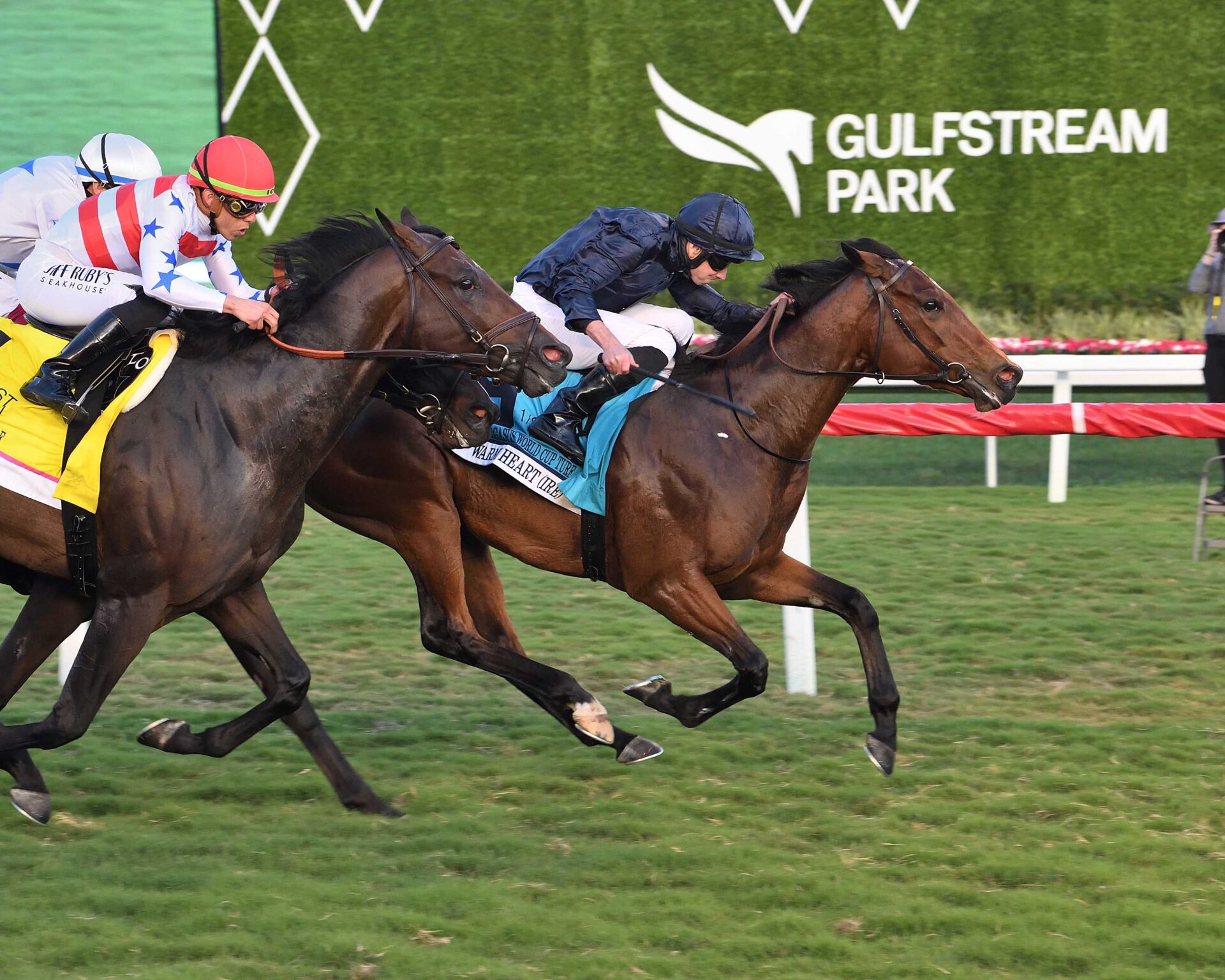 Warm Heart, horse, Coolmore, Pegasus World Cup Turf Invitational, sábado, 27 de enero de 2024, Gulfstream Park. Foto: Coglaniese Photo