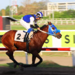 Xtina, horse, Karakontie, Clásico Año Nuevo, domingo, 7 de enero de 2024, Presidente Remón. Foto: Erick Ruiz Prensa CODERE Panamá