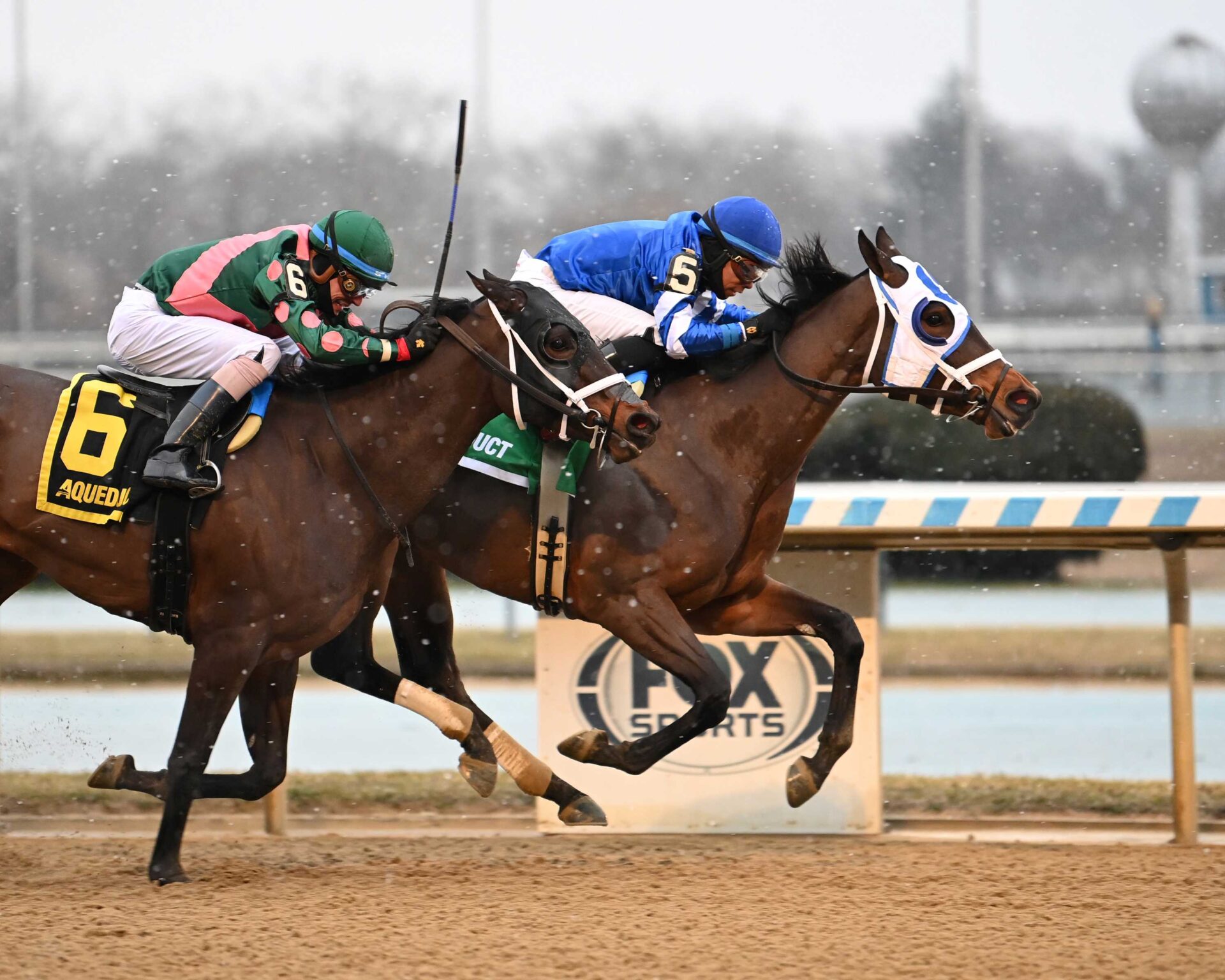 Comparative, horse, Godolphin, Ladies Stakes, sábado, 6 de enero de 2024, Aqueduct. Foto: Coglaniese Photo & Susie Raisher