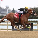 Drum Roll Please, horse, Hard Spun, Jerome Stakes, sábado, 6 de enero de 2024, Aqueduct. Foto: Coglaniese Photo & Susie Raisher
