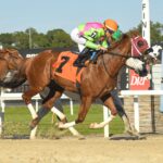 Sibelius, horse, Not This Time, Pelicans Stakes, sábado, 10 de febrero de 2024, Tampa Bay Downs. Foto: Coglianese Photo
