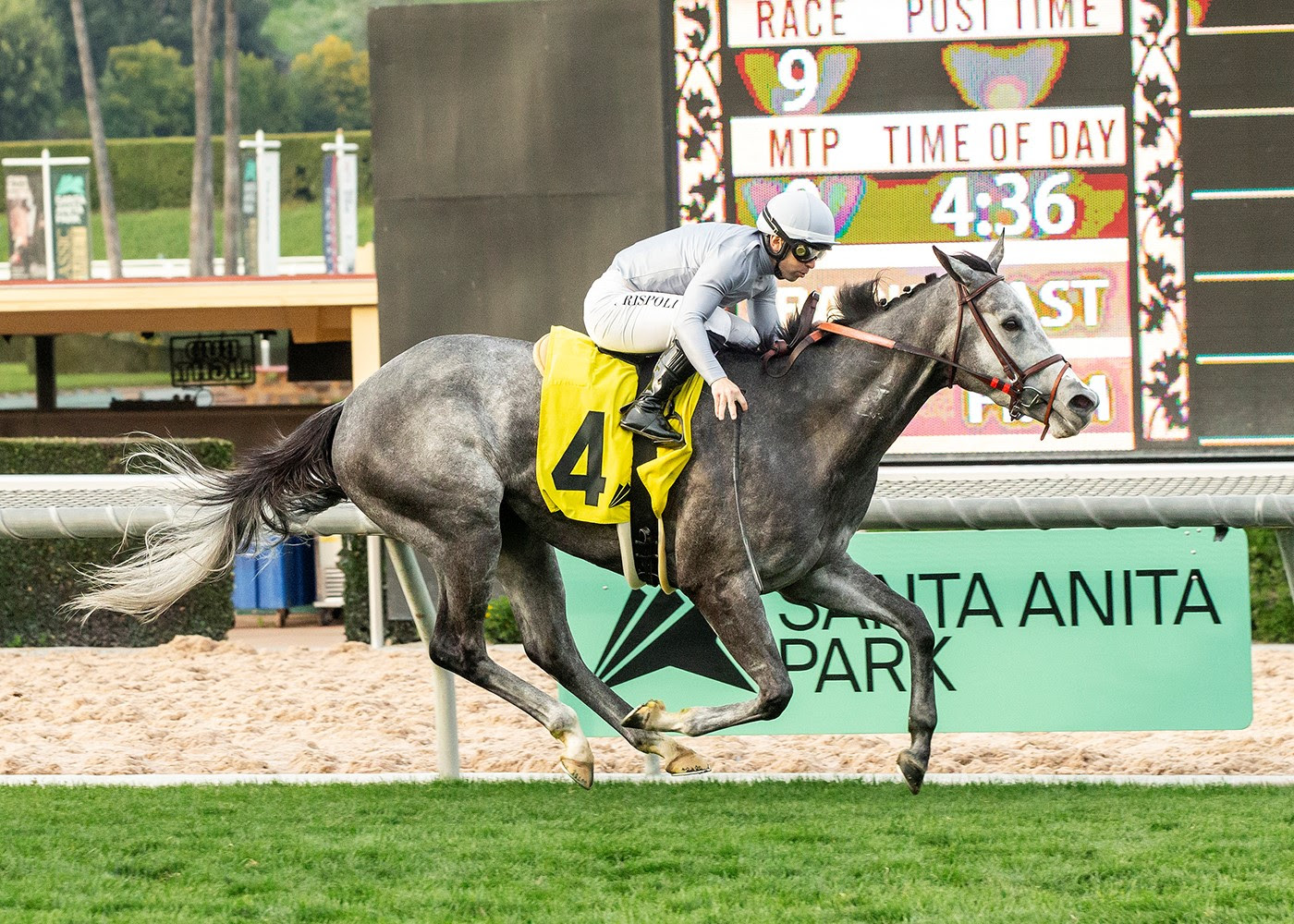 Ag Bullet, Horses, Twirling Candy, Santa Ana Stakes, domingo, 25 de febrero de 2024, Santa Anita Park. Foto: Benoit Photo