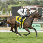 Bellabel, Horses, Belardo, Megahertz Stakes, sábado, 3 de febrero de 2024, Santa Anita Park. Foto: Benoit Photo
