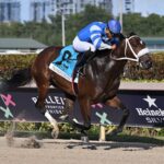 Frankie´s Empire, horse, Classic Empire, Swale Stakes listado, sábado, 3 de febrero de 2024, Gulsftream Park. Foto: Coglianese Photo