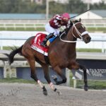 Hades, horse, Awesome Slew, Holy Bull Stakes, sábado, 3 de febrero de 2024, Gulfstream Park. Foto: Coglaniese Photo & Lauren King