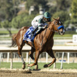 Kinza, Horses, Carpe Diem, Las Virgenes Stakes, sábado, 10 de febrero de 2024, Santa Anita Park. Foto: Benoit Photo