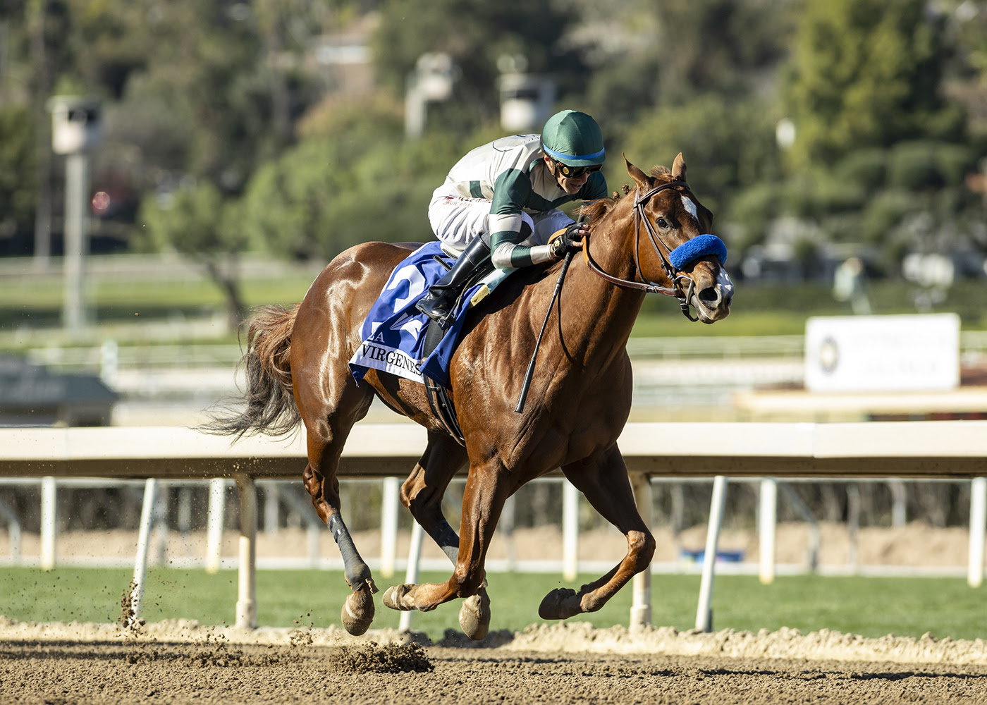 Kinza, Horses, Carpe Diem, Las Virgenes Stakes, sábado, 10 de febrero de 2024, Santa Anita Park. Foto: Benoit Photo