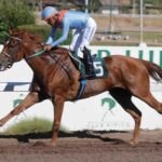 Liderado, horse, Haras Paso Nevado, Clásico Pórfido, lunes, 12 de febrero de 2024, Club Hípico de Santiago. Foto: Jaime Cortés