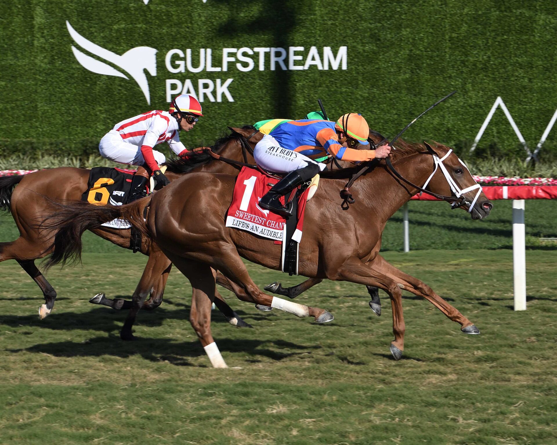 Life´s An Audible, horse, Audible, Sweetest Chant Stakes, sábado, 3 de febrero de 2024, Gulsftream Park. Foto: Coglianese Photo