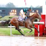 Mystik Dan, horse, 4G Racing LLC, Southwest Stakes, sábado, 3 de febrero de 2024, Oaklawn Park. Foto: Coady Photo