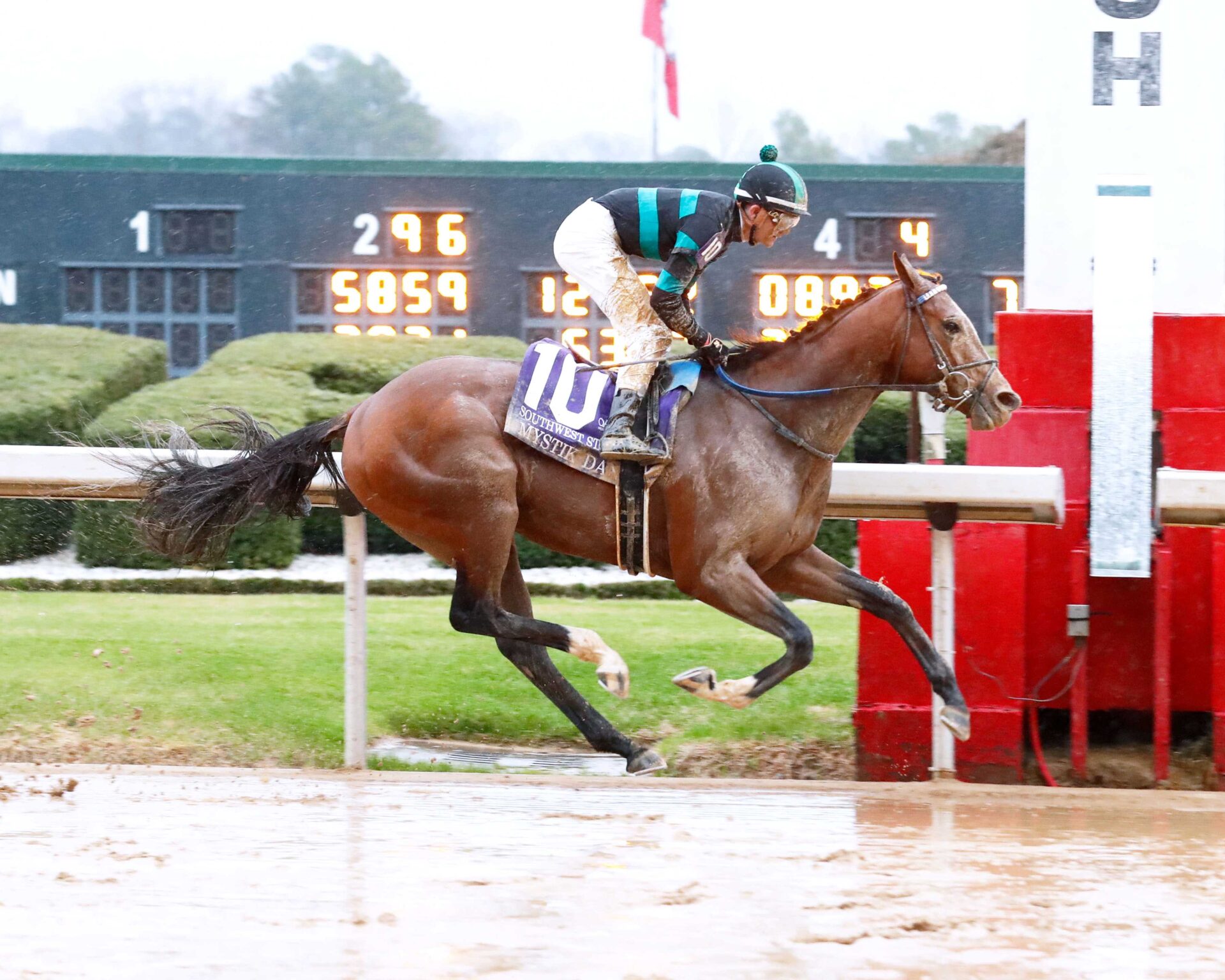 Mystik Dan, horse, 4G Racing LLC, Southwest Stakes, sábado, 3 de febrero de 2024, Oaklawn Park. Foto: Coady Photo