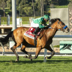 Missed The Cut, Horses, Quality Road, San Marcos Stakes, sábado, 10 de febrero de 2024, Santa Anita Park. Foto: Benoit Photo