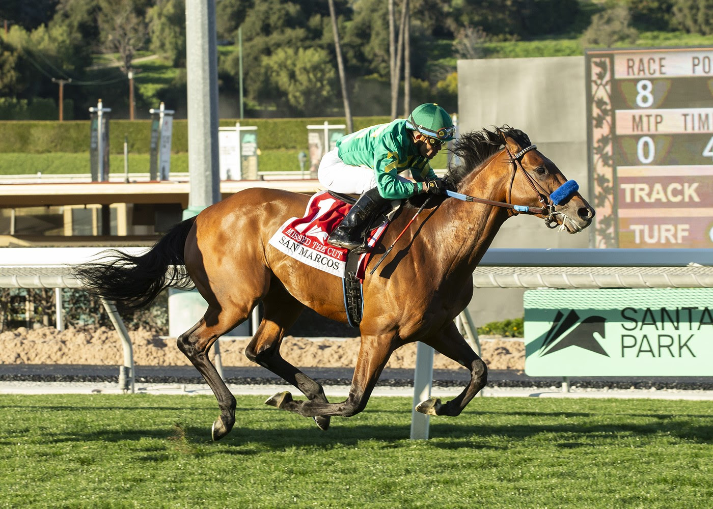 Missed The Cut, Horses, Quality Road, San Marcos Stakes, sábado, 10 de febrero de 2024, Santa Anita Park. Foto: Benoit Photo