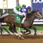 Señor Buscador, Horses, Joe R. Peacock Sr., Saudi Cup, Hipódromo de King Abdul Aziz-KSA, sábado, 24 de febrero de 2024. Erika Rasmussen