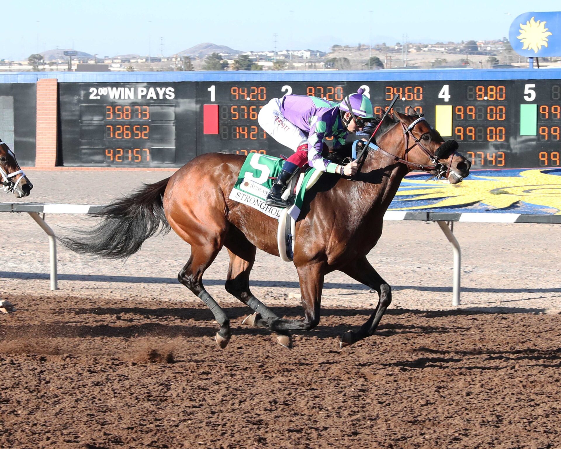 Stronghold, Horses, Eric Waller & Sharon Waller, Sunland Park Derby, domingo, 18 de febrero de 2024, Sunland Park. Foto: Coady Photography @CoadyPhoto